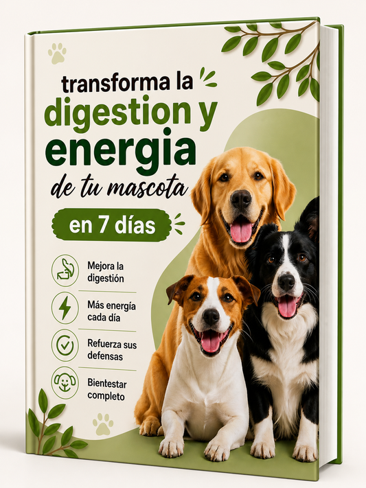 transforma la energia y digestion de tu mascota en 7 dias